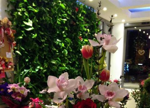 Grădină verticală cu plante naturale – Iași, foto 31 din 31